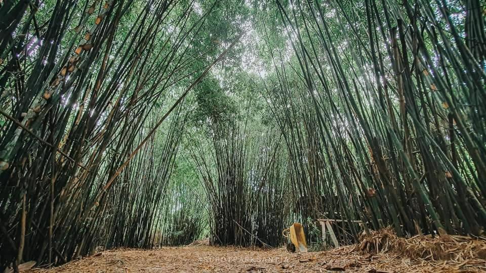 Ya Teng Homestay Ban Tha Sai Ngoại thất bức ảnh