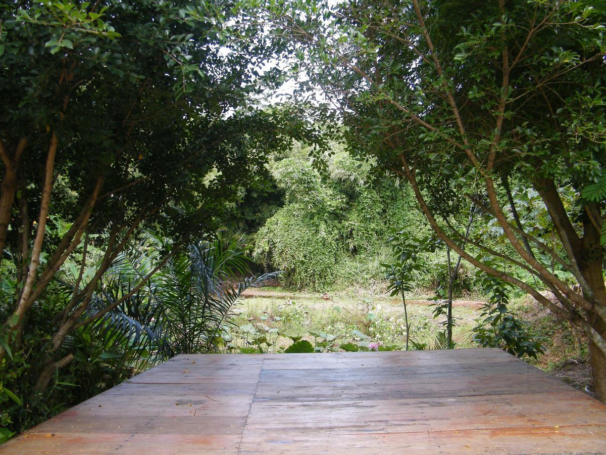 Ya Teng Homestay Ban Tha Sai Ngoại thất bức ảnh